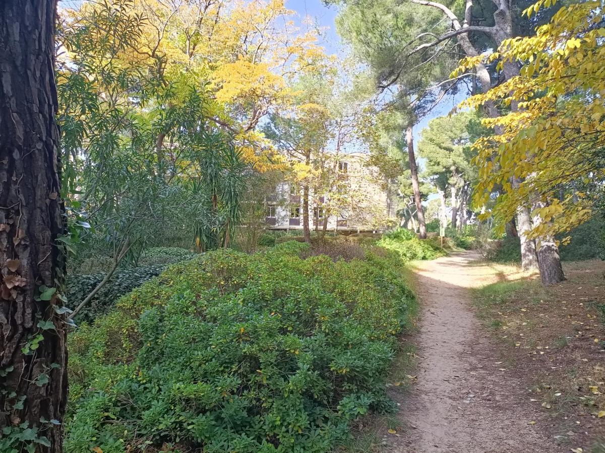 **** Roy D Espagne, Up To 7 People, View In Safe ****